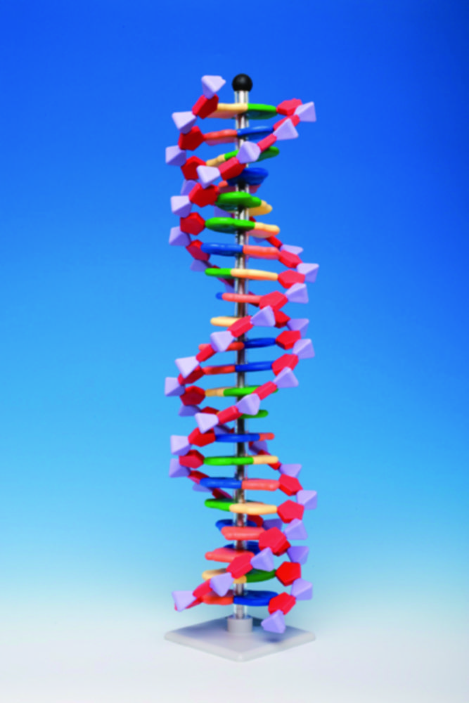 Molekülbaukastensystem miniDNA® / RNA Kits | Typ: miniDNA®